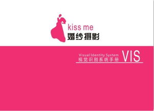 公司求一份品牌形象vi设计,急