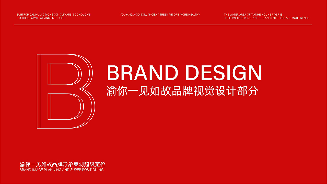 渝你一见如故糯米白酒品牌全案策划设计