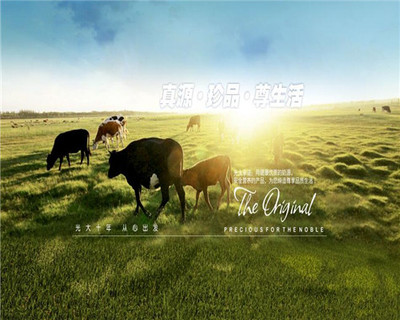 奶牛梦工场加盟有什么优势?优势全,营销策划 让您火爆经营