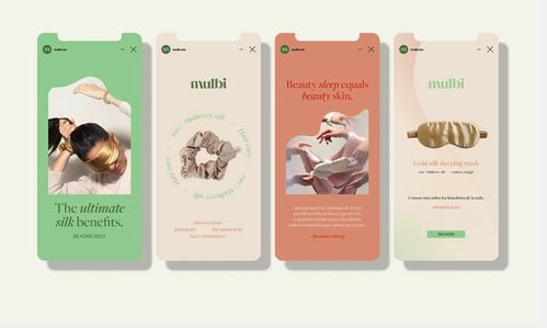 广州品牌形象设计公司 新兴丝绸产品品牌形象设计和品牌标志设计