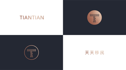 天天移民企业品牌形象LOGO全案策划设计